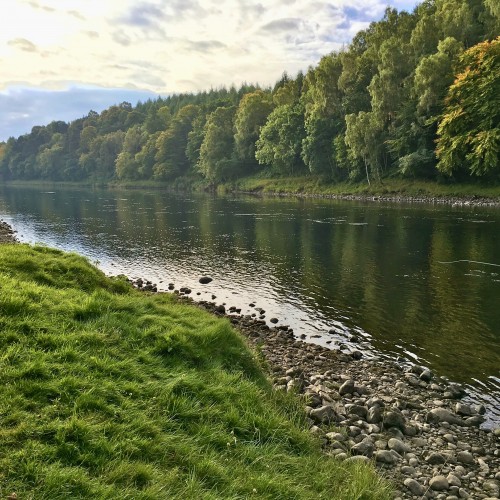 Look at this lovely scene from Perthshire's beautiful River Tay. This salmon fly fisher to the right hand side of frame is fishing down through the Steps Pool near Dunkeld which is a great low water salmon holding pool in this picturesque area of the Tay Valley.