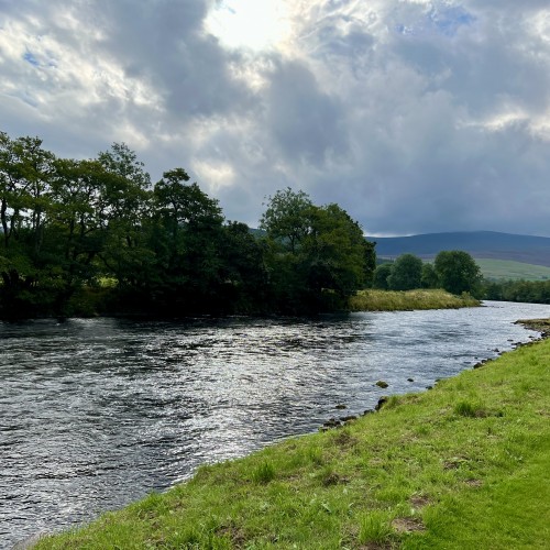 The Spey's Tulchan Beat is another dimension of Scottish salmon fishing that only those who have fished this salmon fishing venue will know what I'm referring to and will fully understand. This Tulchan salmon pool is typical of the quality of salmon water the 4 Tulchan beats (Tulchan A, B, C & D) offer.