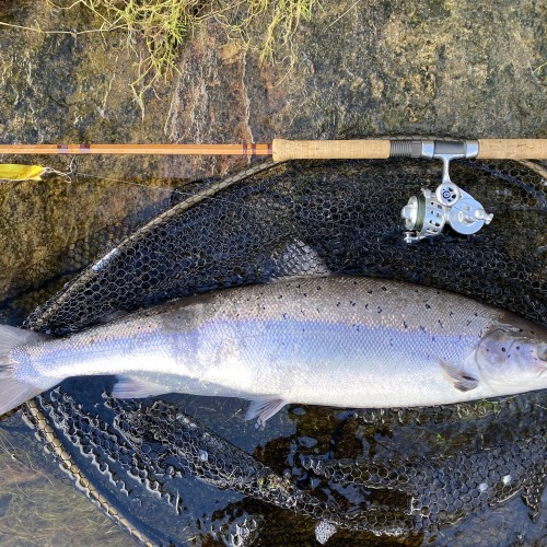 Over the decades I've narrowed my lure selection right down and the ABU Toby 'Salmo' is one of my trusted lures that always grinds out results even when the going is tough. I'd strongly recommend the inclusion of the silver & copper version of the 'Salmo' in every salmon fisher's lure box.